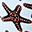 Starfish