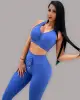 Conjunto de Top Cropped e Legging Tradicional de Jacquard Coconut Azul (1 top + 1 legging)
